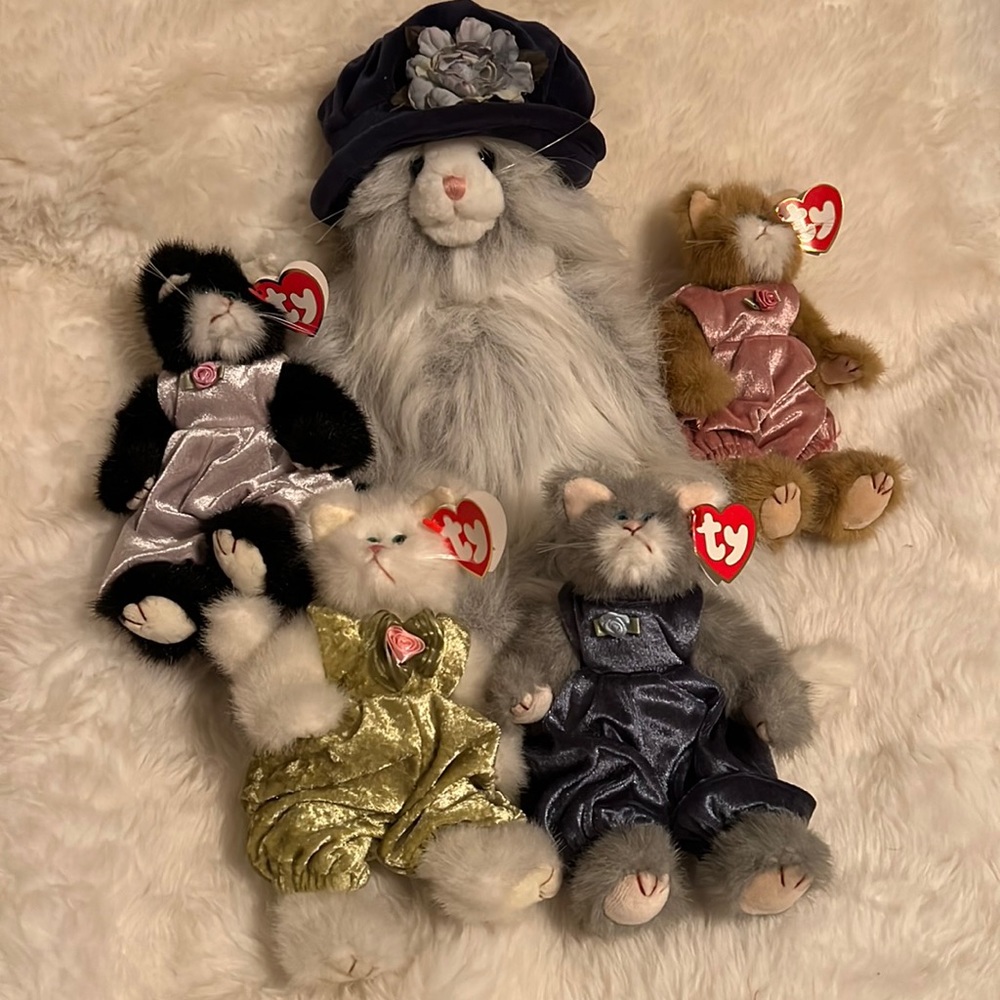 TY cat collection + Boyd cat